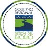 Logo Gobierno Regional del Biobío